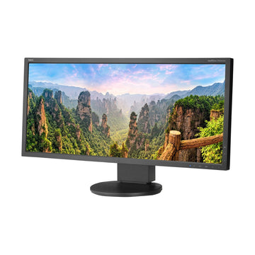 NEC EA295WMi 29-Inch Ultra-Wide Full HD Monitor with Dual HDMI & Speakers